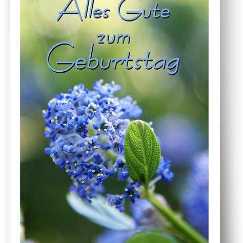 Compleanno/Biglietto d'auguri/519066 per la vendita all'ingrosso da parte di Yabué