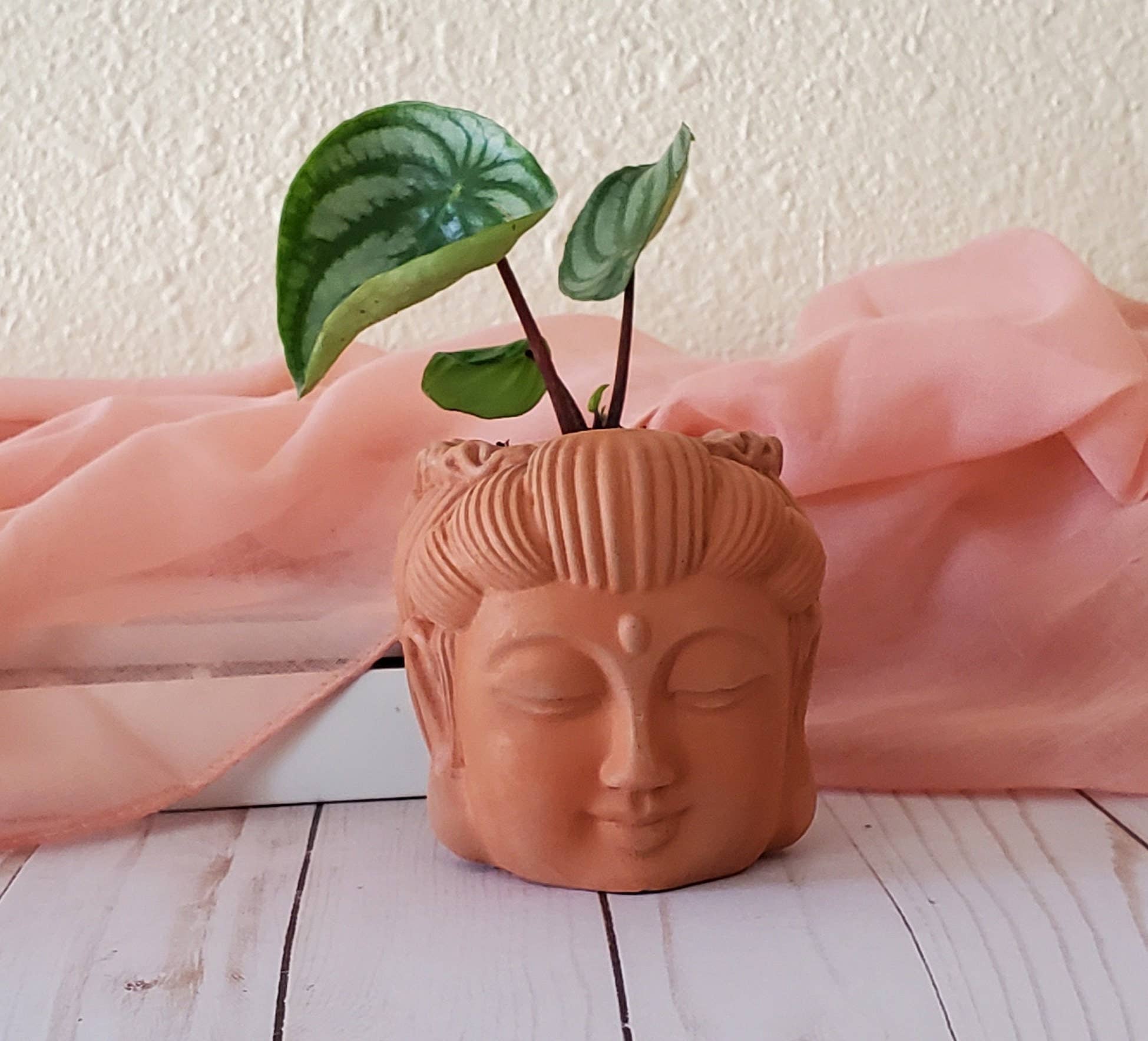 House Americana - Wholesale Plant Pot - Serenity Buddha Head Concrete Planter With Drainage1