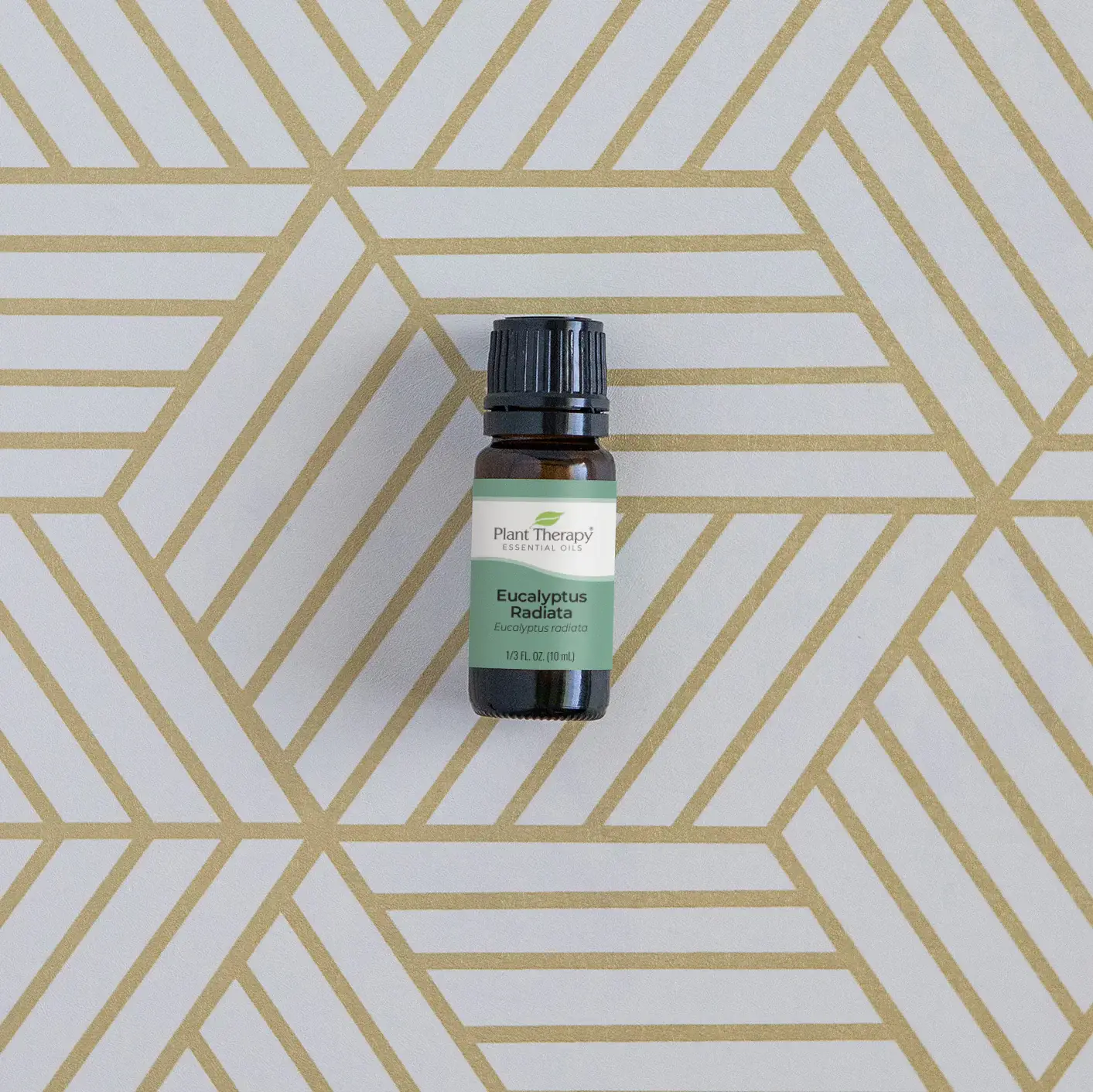 Plant Therapy - Wholesale Essential Oil - Eucalyptus Radiata Essential Oil 100 mL2