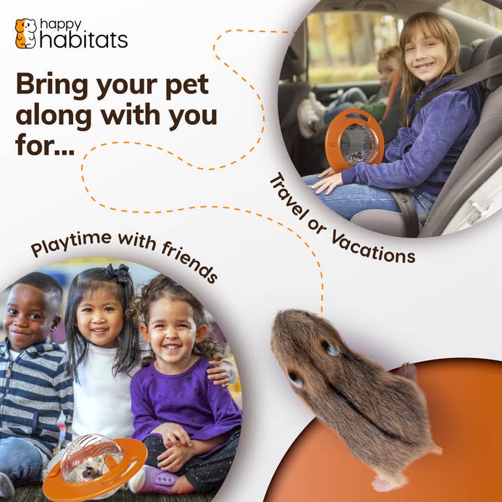Happy Habitats - Vendita all'ingrosso Giocattolo per animali - Non gatti o cani - Halo Pet Carrier - Palla unica per criceti e palline per piccoli animali