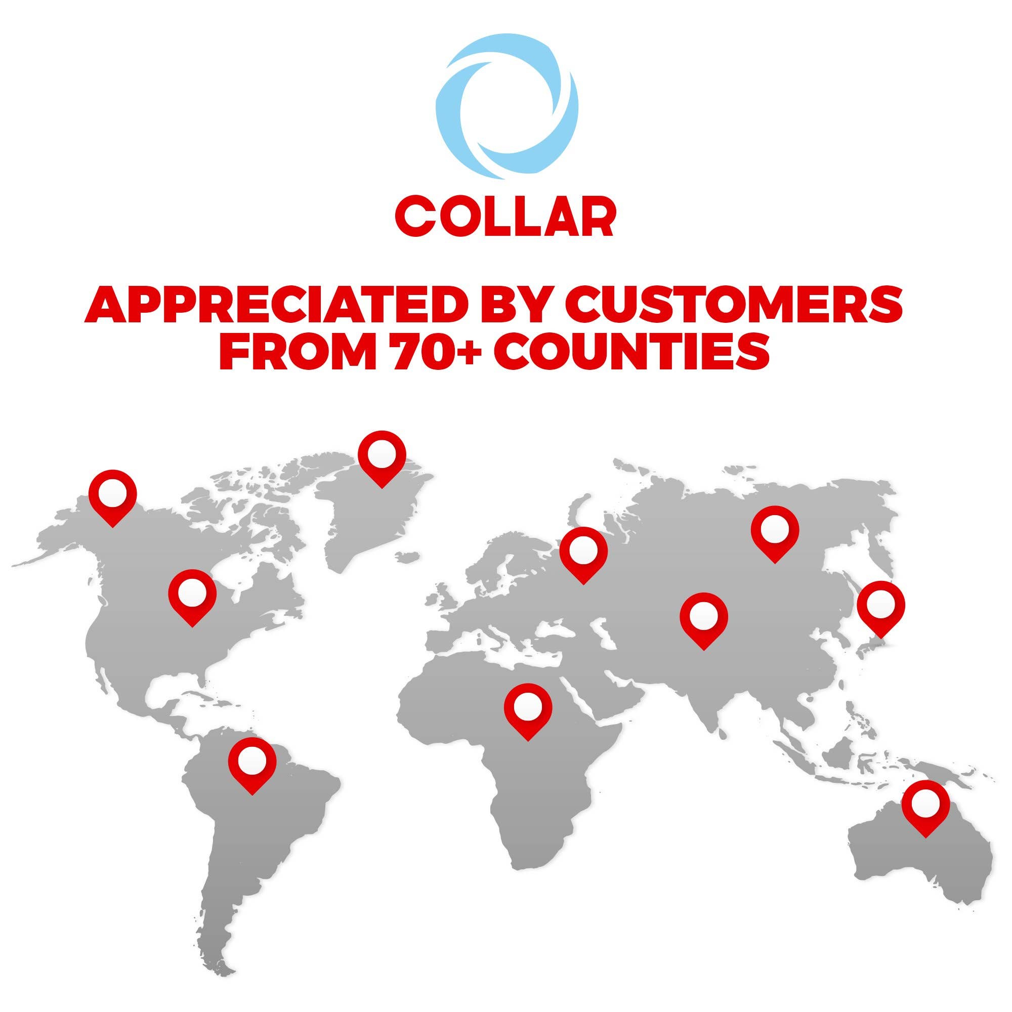 WAUDOG - Wholesale Pet Collar - Dog - Glamour Reinforced Rolled Leather Collar With Metal Clasp15