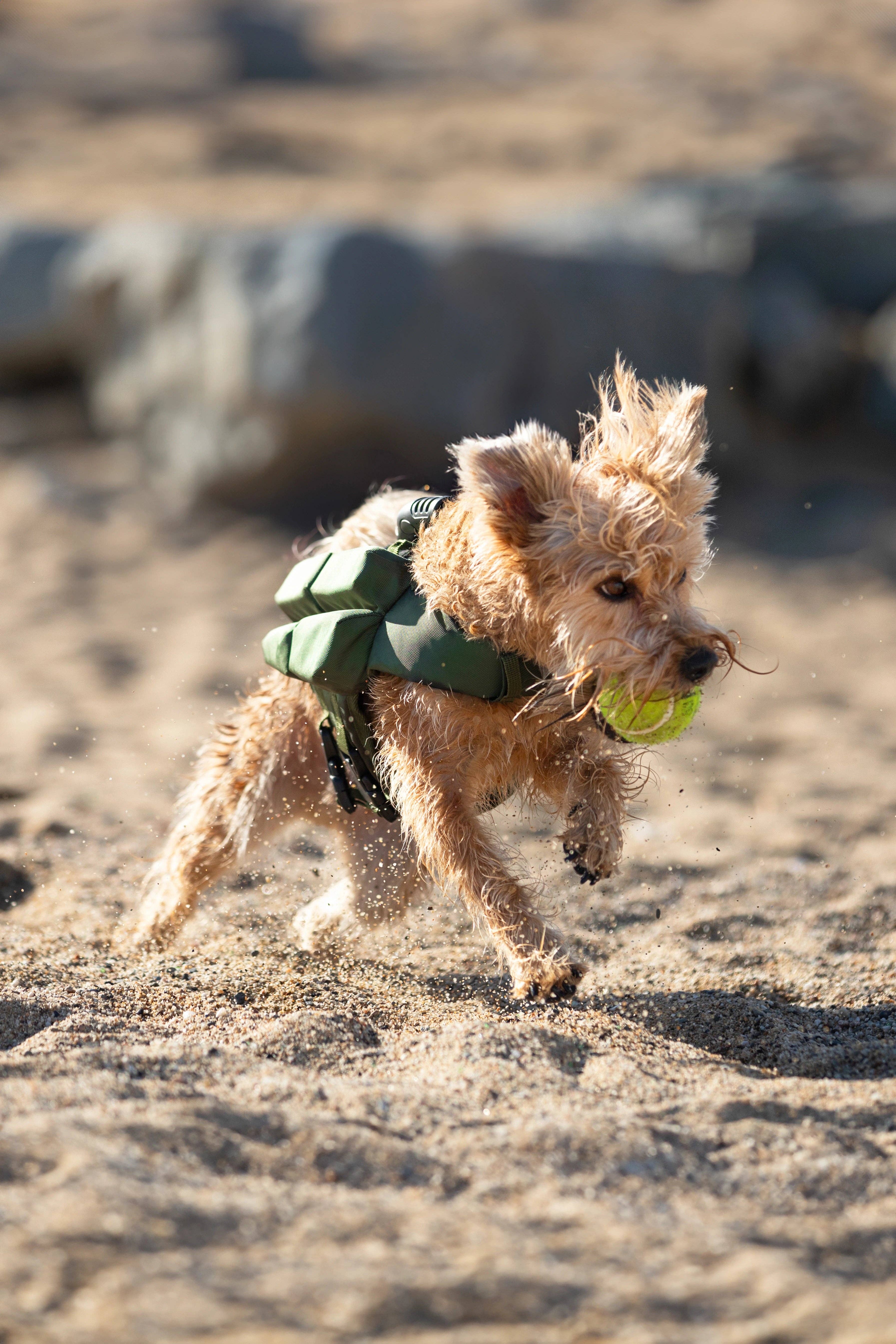 NOAH AND PAW LLC - Wholesale Pet Jacket - Dog - Human Standards Dog Lifejacket Design with 4x Foam Support for Max Floating - Green5