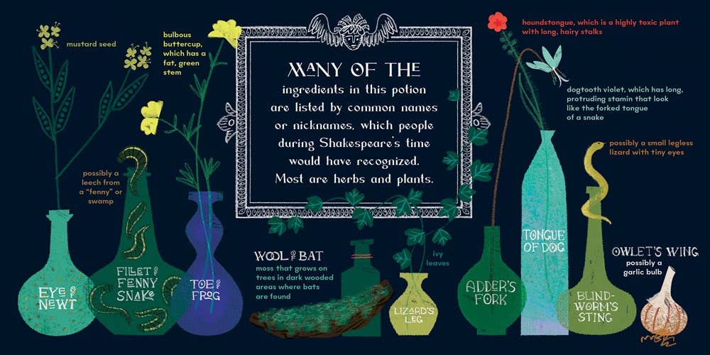 Gibbs Smith - Wholesale Baby & Toddler Book (0-2) - Macbeth10