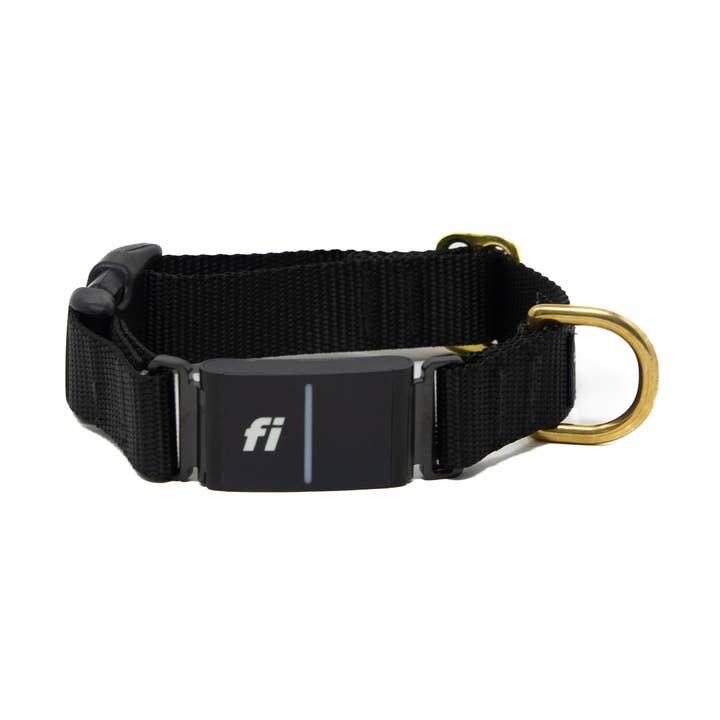 Fi Collar Band - Black for wholesale by LUCKY + DOG