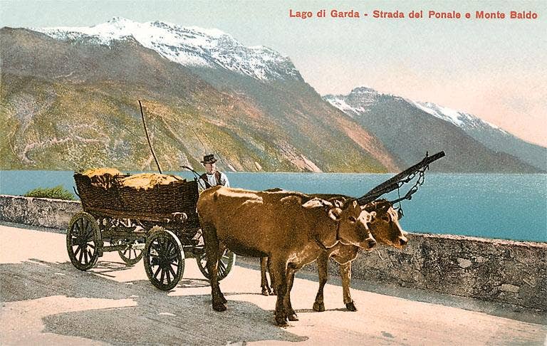 Found Image Press – wholesale Postcard – Postcard IT-189 Ox Cart on Lago di Garda, Italy0
