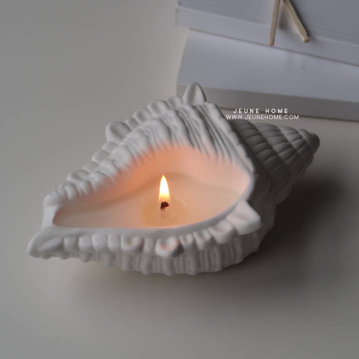 Jeune Home - Wholesale Jar/filled candle - Conch shell custom scented candle | Summer decor 3