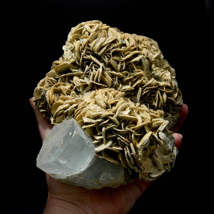 Caspar Curiosities - Wholesale Spiritual Stone/Crystal - 4.7lb XL Raw Aquamarine Crystal Cluster Pink Fluorite Muscovite Matrix, Pakistan
