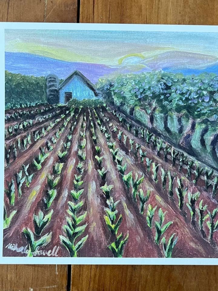 Celeiro e terras agrícolas com colheitas ao nascer do sol - impressão de arte fina por atacado de Savell Studio