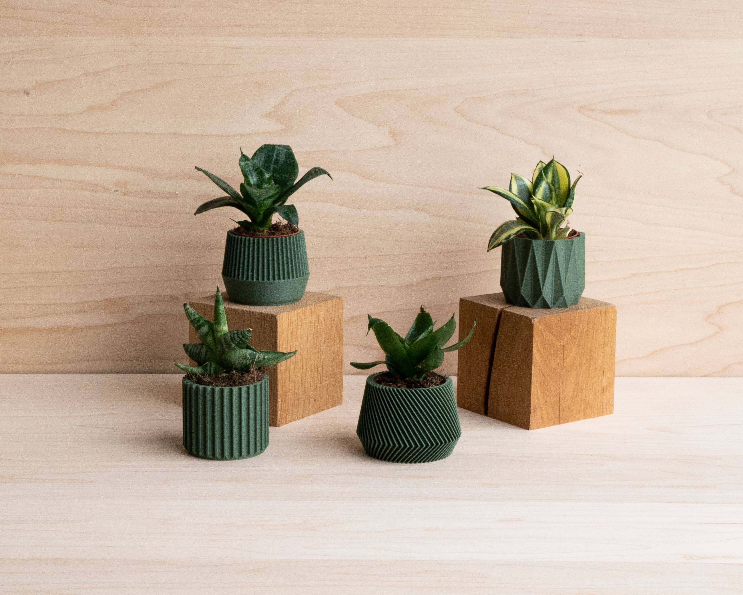 MINIMUM DESIGN - Vente Pot - Set de 4 petits pots de plantes verts - Oslo Origami Kobe Stockholm2