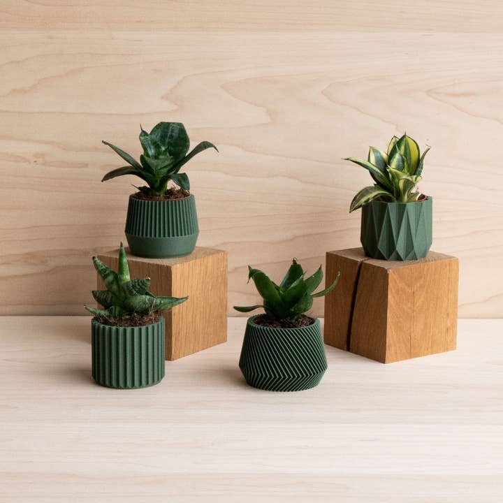 MINIMUM DESIGN - Wholesale Plant Pot - Set of 4 green plant pots – Oslo Origami Kobe Stockholm2