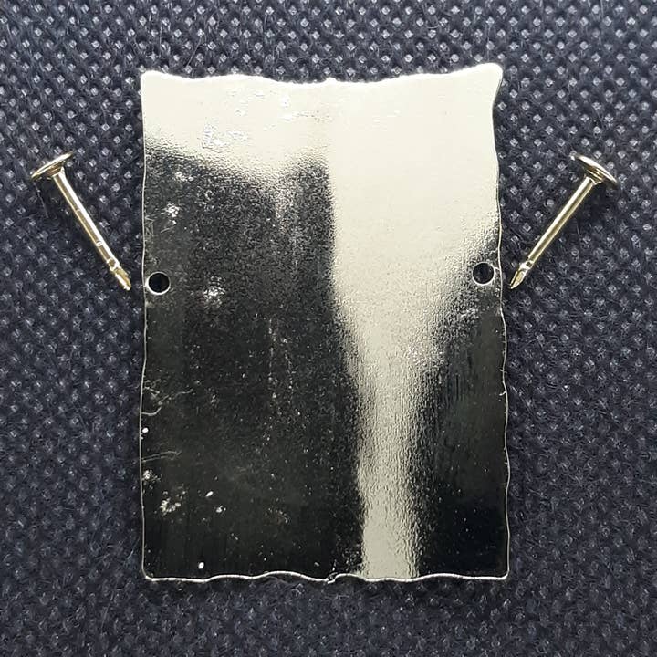 Fantastic Souvenirs, Gifts & Collectibles - Wholesale Lapel Pin/Button - Hiking Stick Medallion - CO Tree Mountain for Colorado2