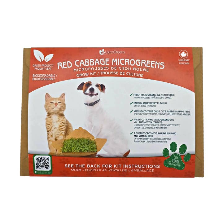 Red Cabbage Pet Kit for wholesale by UgroGreens Ltd.