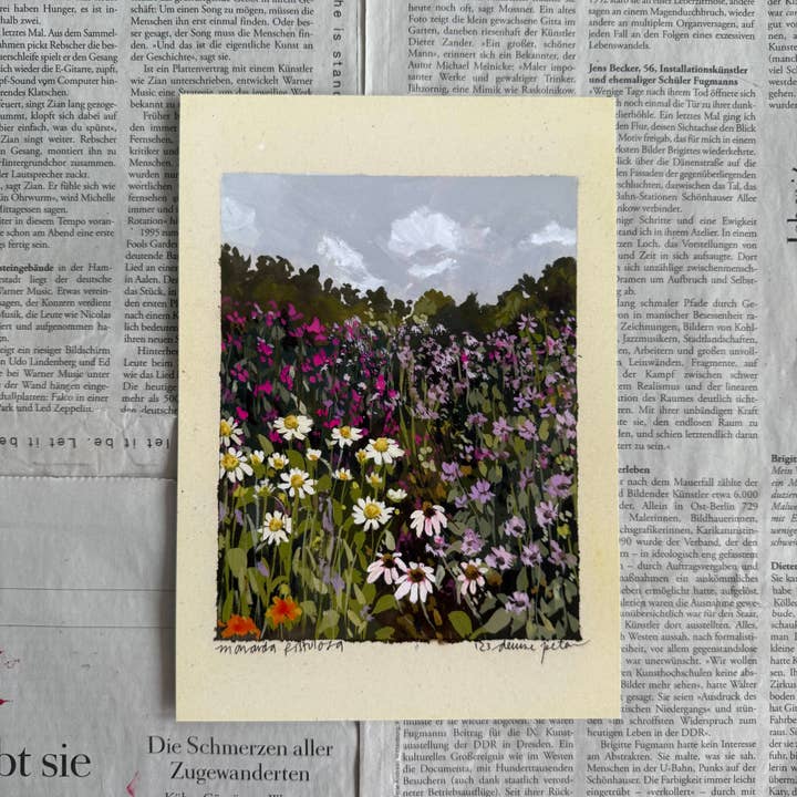 Impression de Monarda fistulosa pour la vente par denaisx