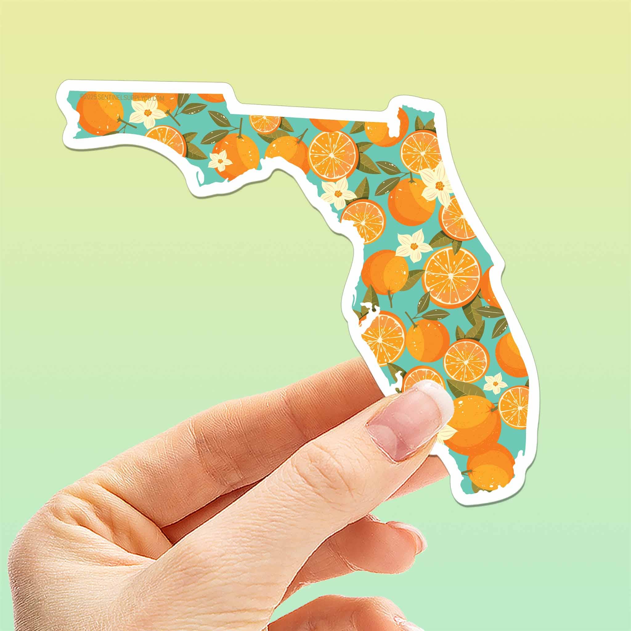 Sentinel Supply - Wholesale Sticker - Florida Orange Bumper Sticker - Cute FL Decals0