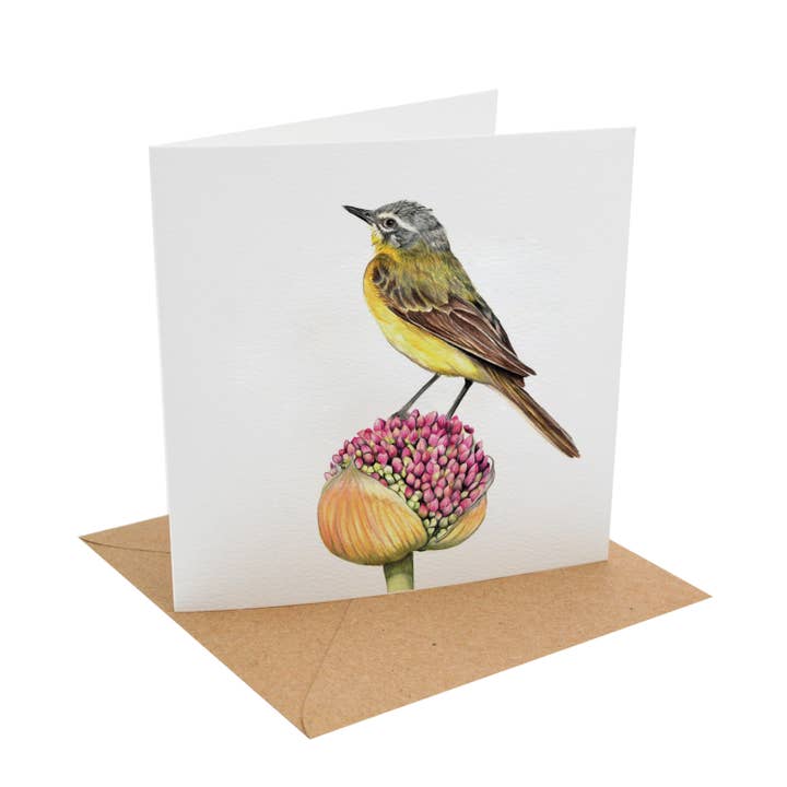 Bergeronnette printanière | Carte de vœux | Art d'oiseau | Intérieur vierge pour la vente par JVH creative Fine Art