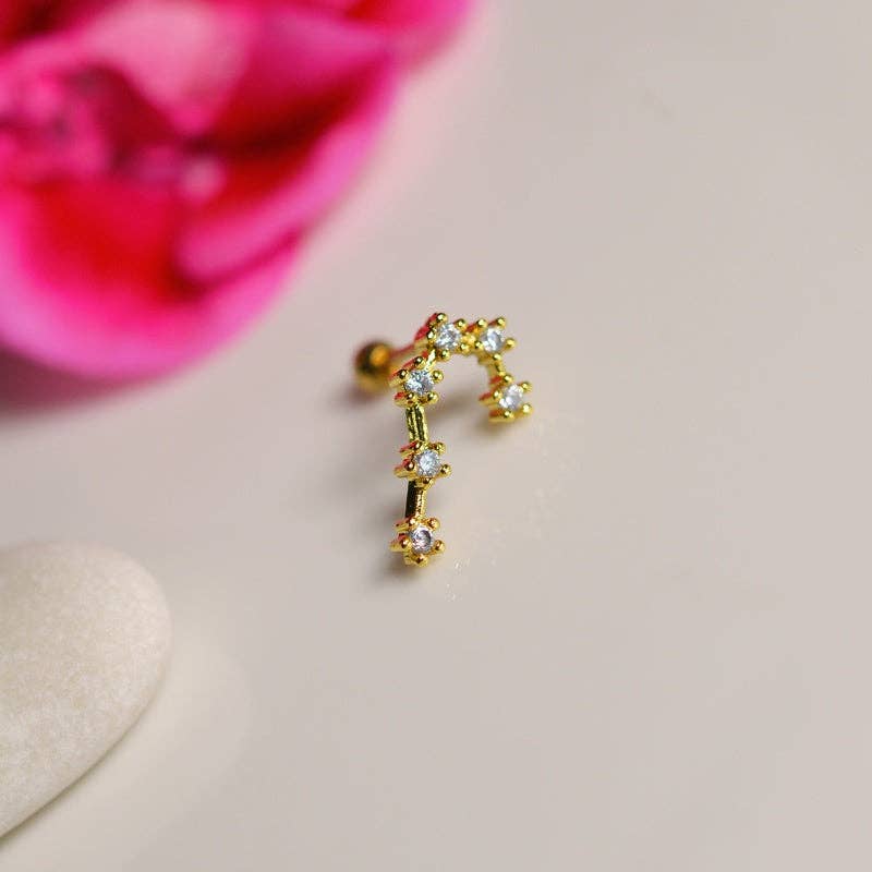 StockJWL - Wholesale Stud/Post Earrings - 12 Zodiac Earrings, Constellation Stud Earring Stud Piercing Tragus Helix Lobe and Cartilage Silver And Gold22