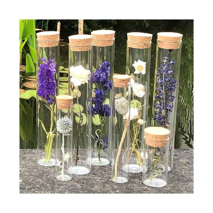 Muno - Wholesale Dried/Pressed Flowers - TUBE 20 CM WITH DRIED FLOWER - Gift4