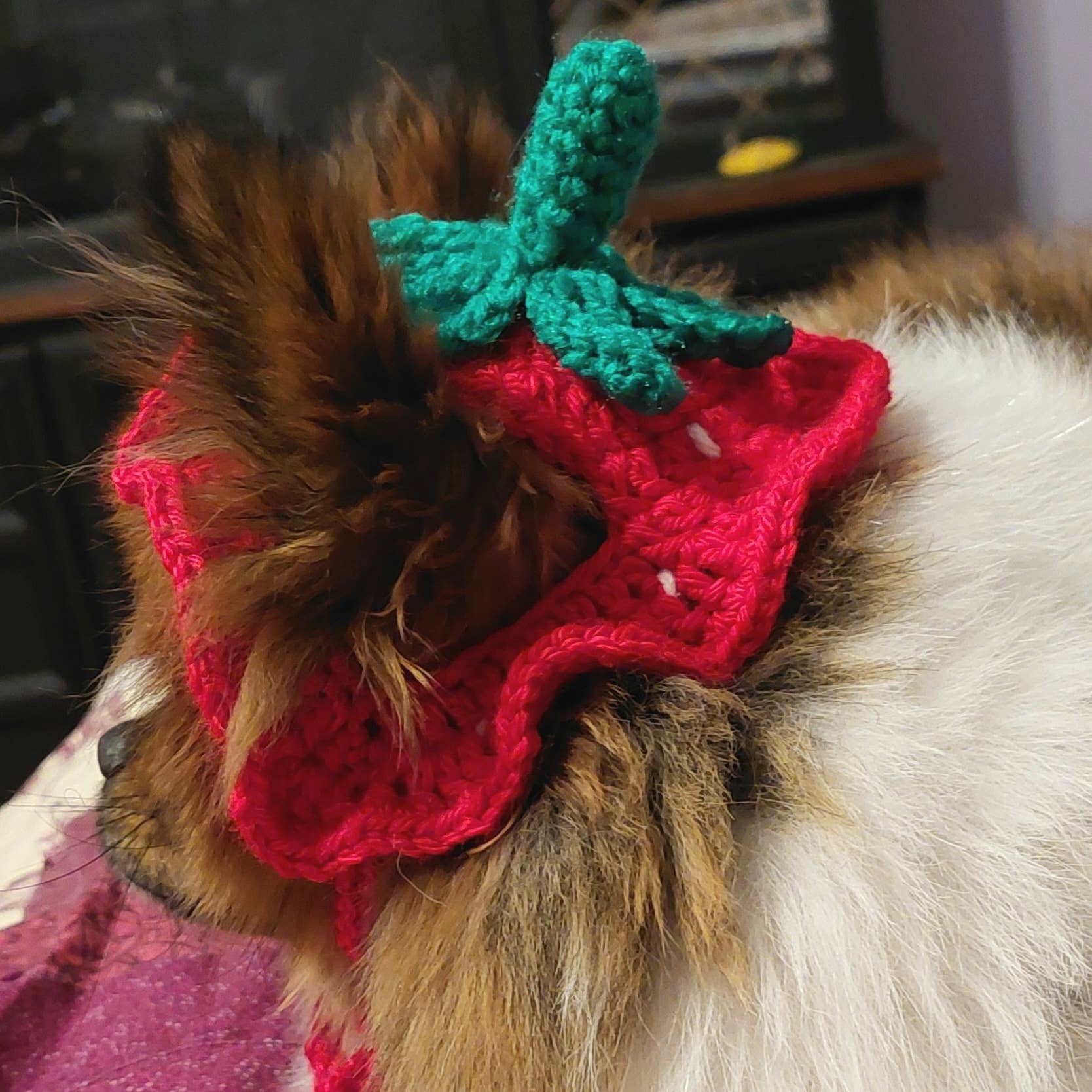 Glitter Ghost Clothing and Accessories – Engroshandel Hundehat - Hund – Hæklet Jordbærhue - Kattehjelm - Pet Hat9