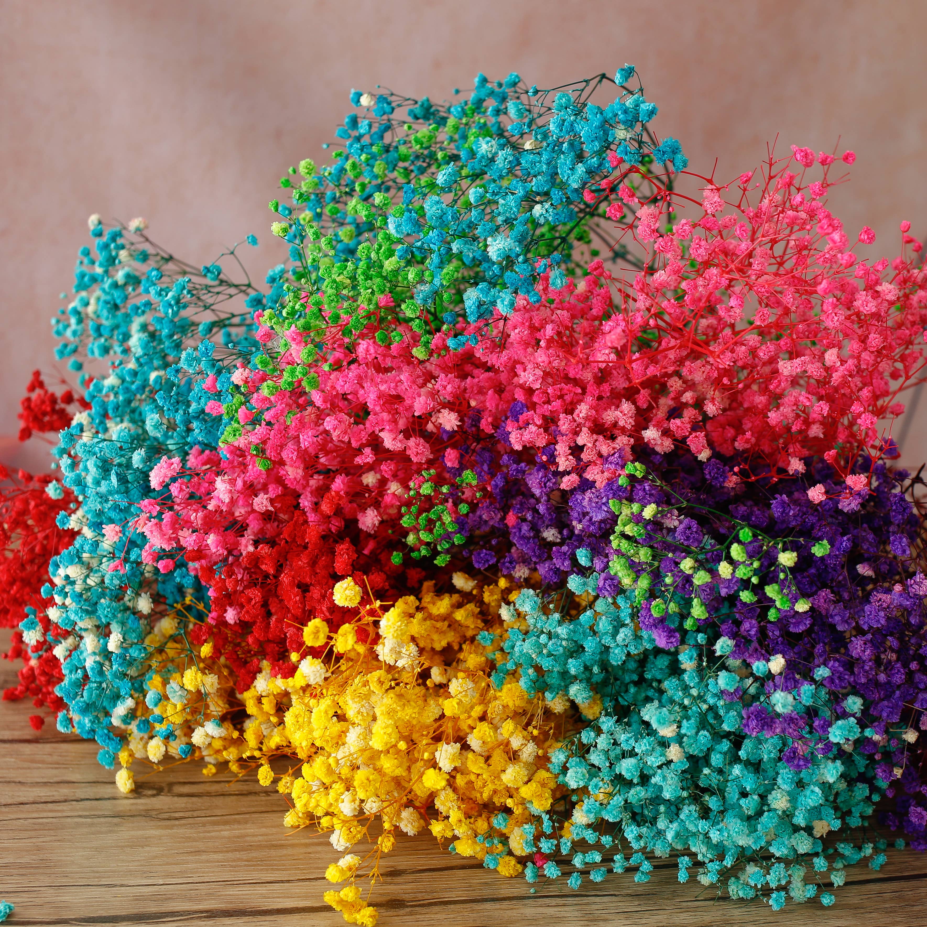 Floral Fields - Venta al por mayor Flores secas/prensadas - Ramo de flores preservadas de Gypsophila (Velo de Novia) arcoíris3