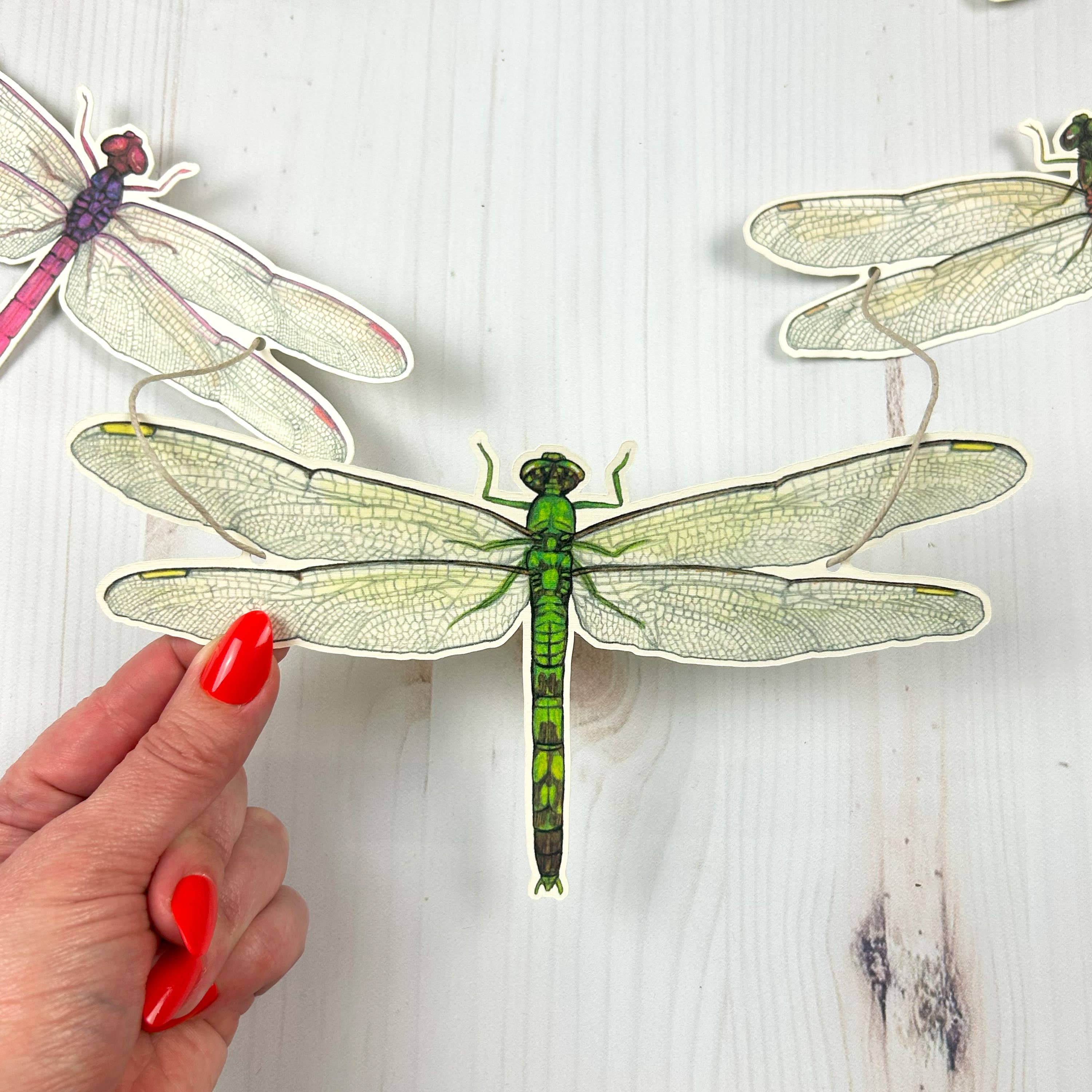Sarah Draws Things - Wholesale Bunting/Garland - Dragonfly Illustrated Garland 3