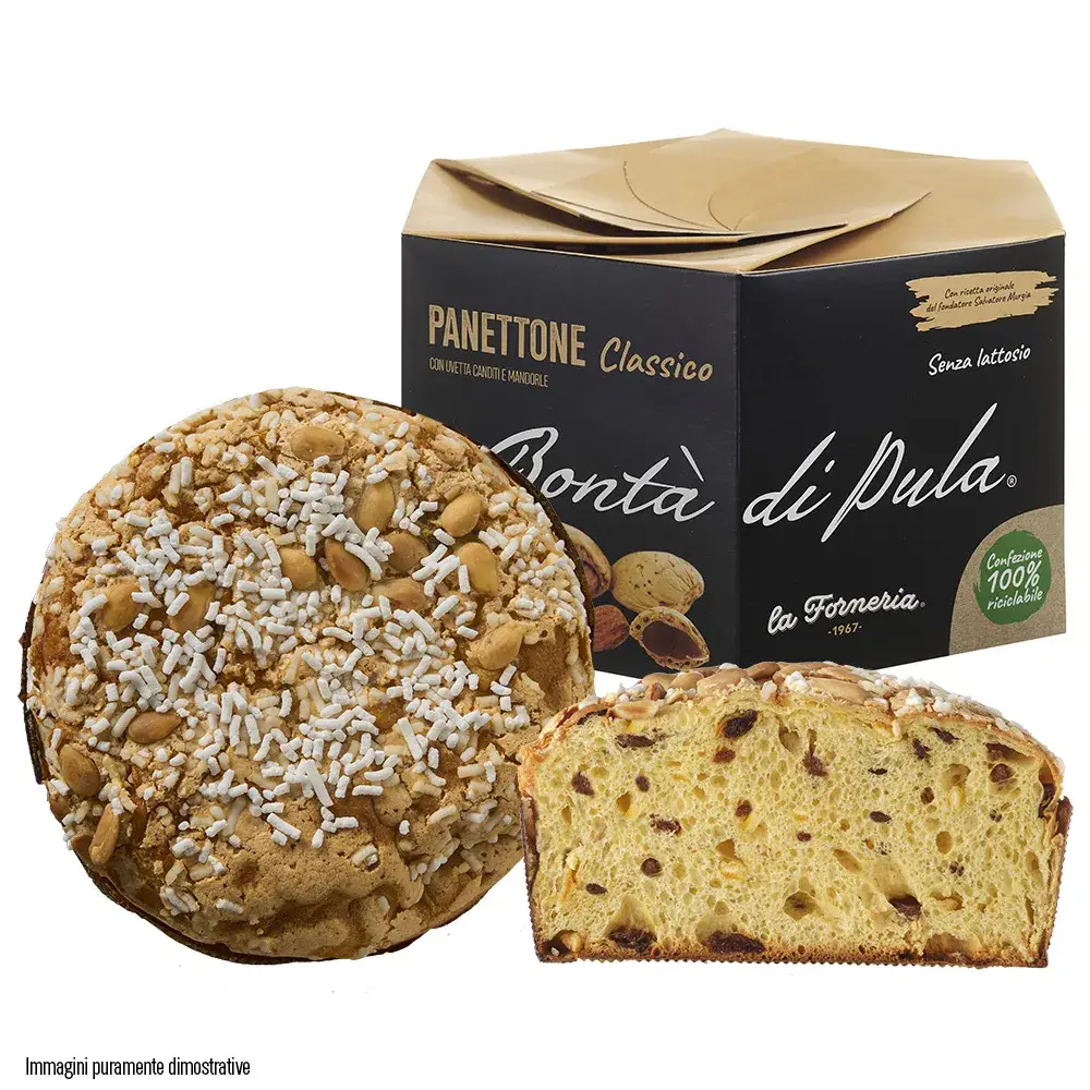 La Forneria di Pula - Wholesale Cake - Classic almond panettone 750 g1