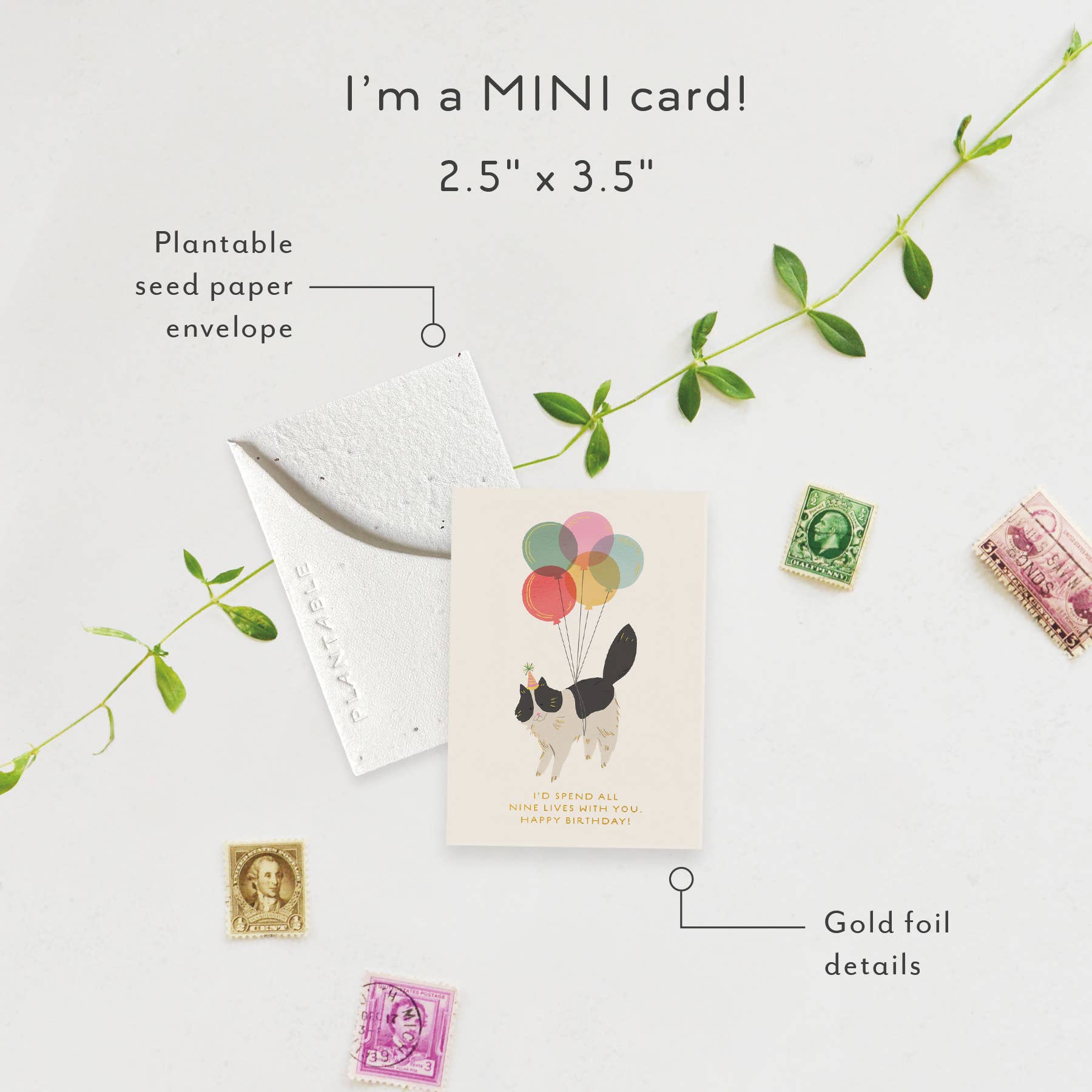 Seedlings - Wholesale Birthday Card - Birthday Kitty Sprout - B'day Mini Greeting Card 2.5" x 3.5"0