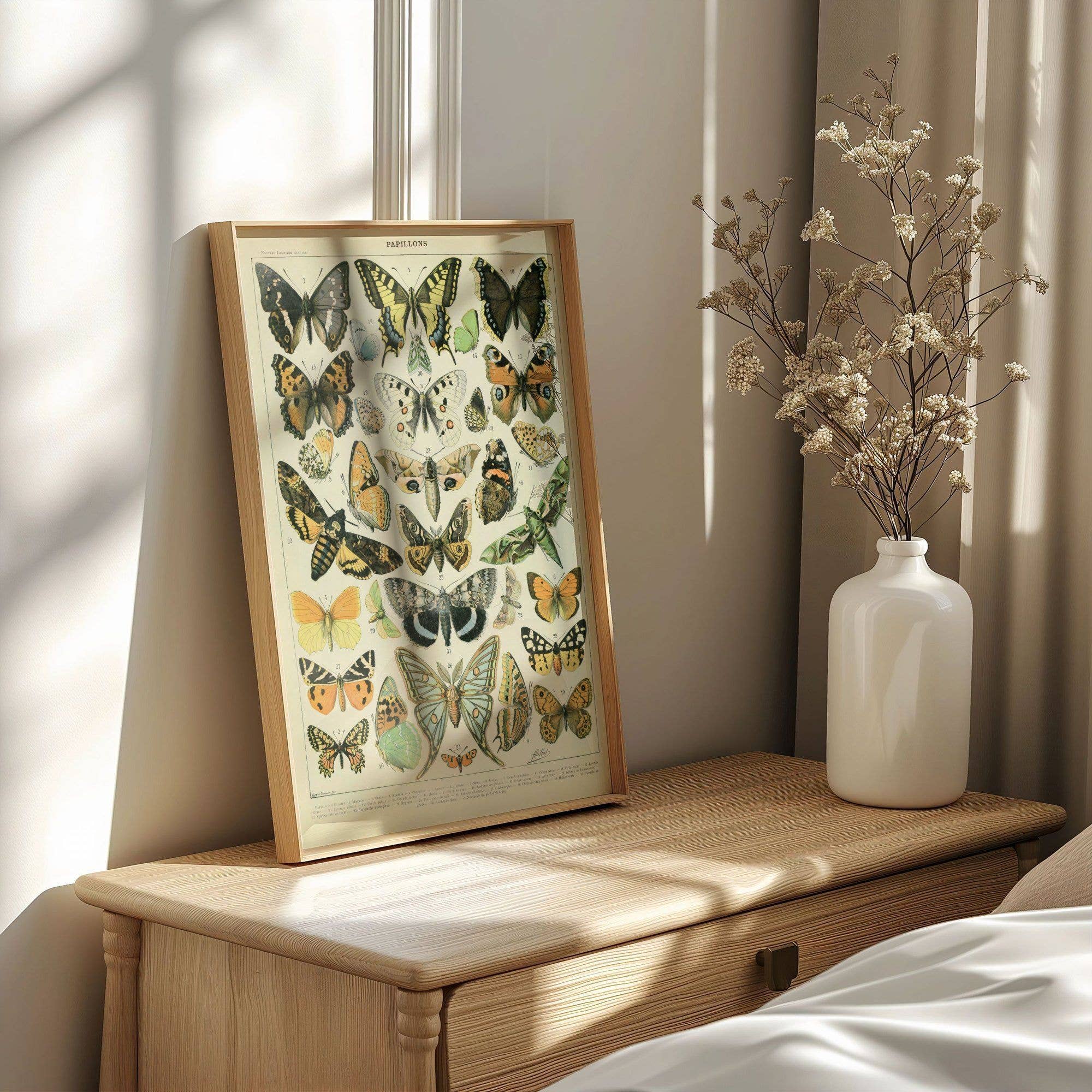 Plumnearly Prints - Wholesale Art Print - Millot Vintage Butterflies Illustration Art Print Poster 13