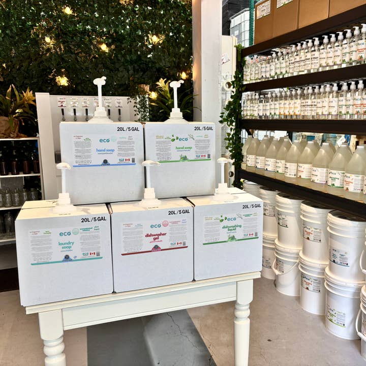 Eco Company - Wholesale Dish soap - Dishwashing Liquid - Rosemary Mint (20L Refill Box)8