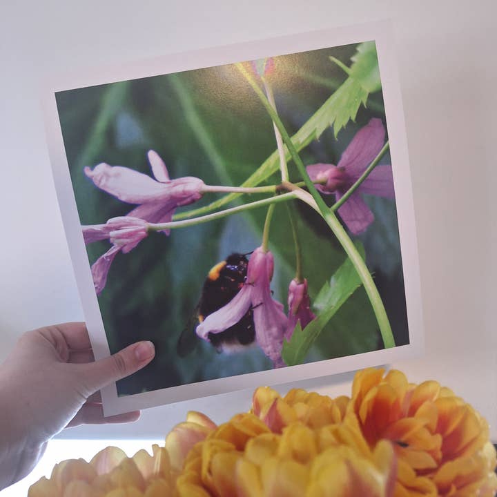 Abelha e Flores Roxas 10"x10" Impressão Fotográfica de Arte Assinada por atacado de Gen Aumonier Art
