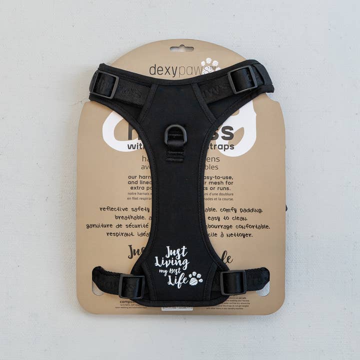 dexypaws - Wholesale Pet Harness - Dog - No-Pull Dog Harness - Black6