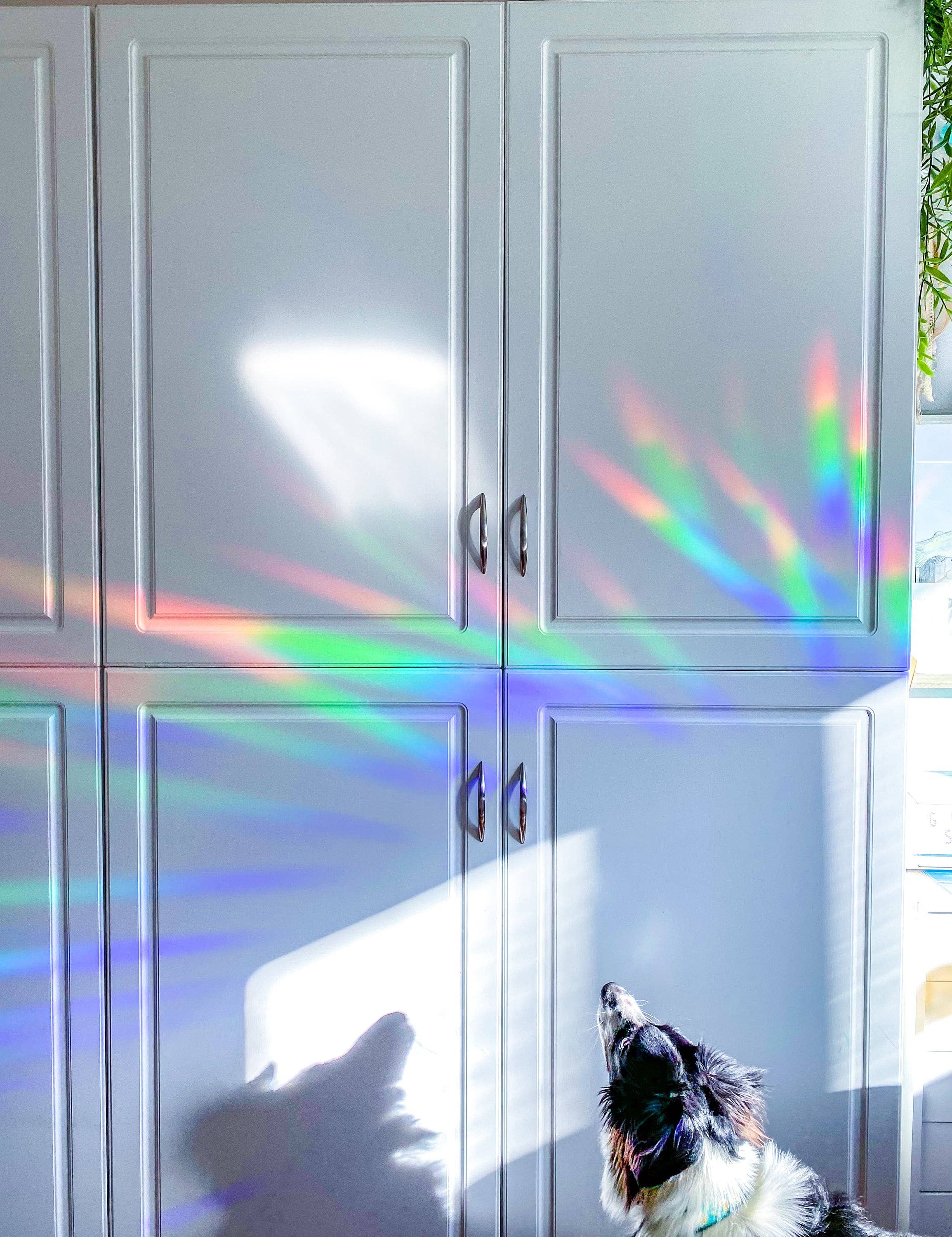 Sunbeam Shop Co - Wholesale Suncatcher - Valkyrie Book Club Suncatcher Sticker5