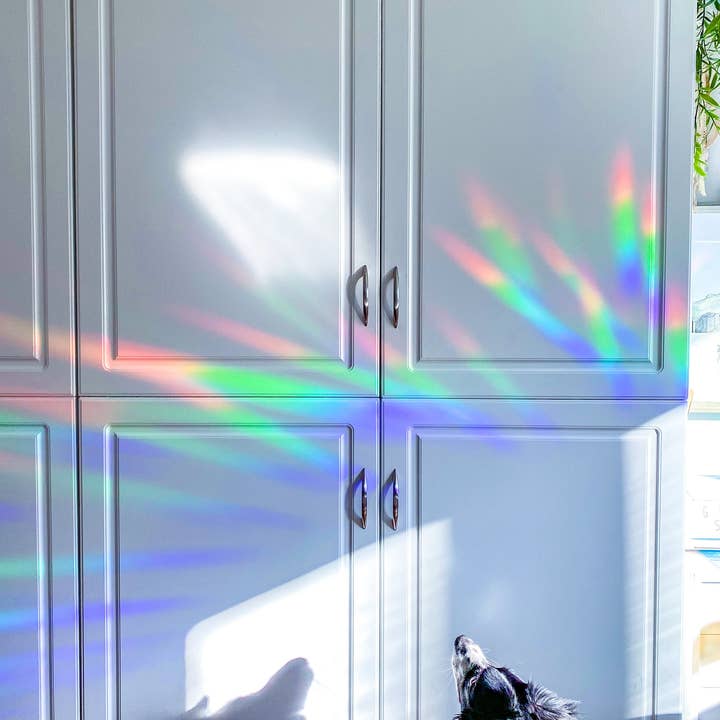 Sunbeam Shop Co - Wholesale Suncatcher - Valkyrie Book Club Suncatcher Sticker5