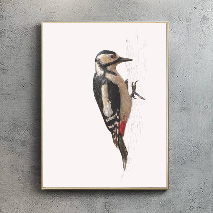 Hidden Planet - Wholesale Art print - Greater Spotted Woodpecker - A4 Print (portrait)