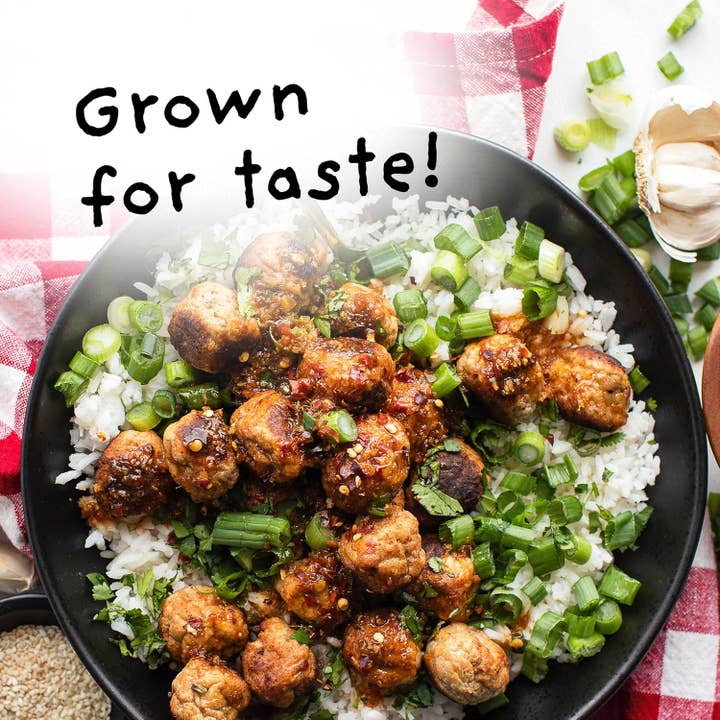 4Sisters - Wholesale Rice - 4Sisters Long Grain Aromatic Jasmine Rice - 2lb2