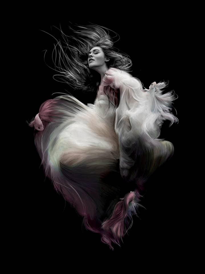 Póster Anne para venta al por mayor de Linn Wold