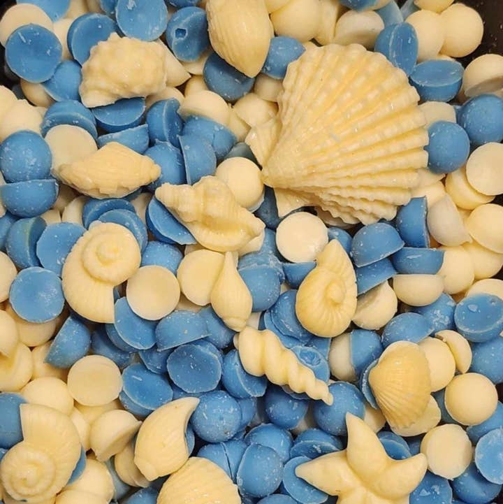 The Littlest Things - Wholesale Wax Melt - Beach Bum Wax Melt1