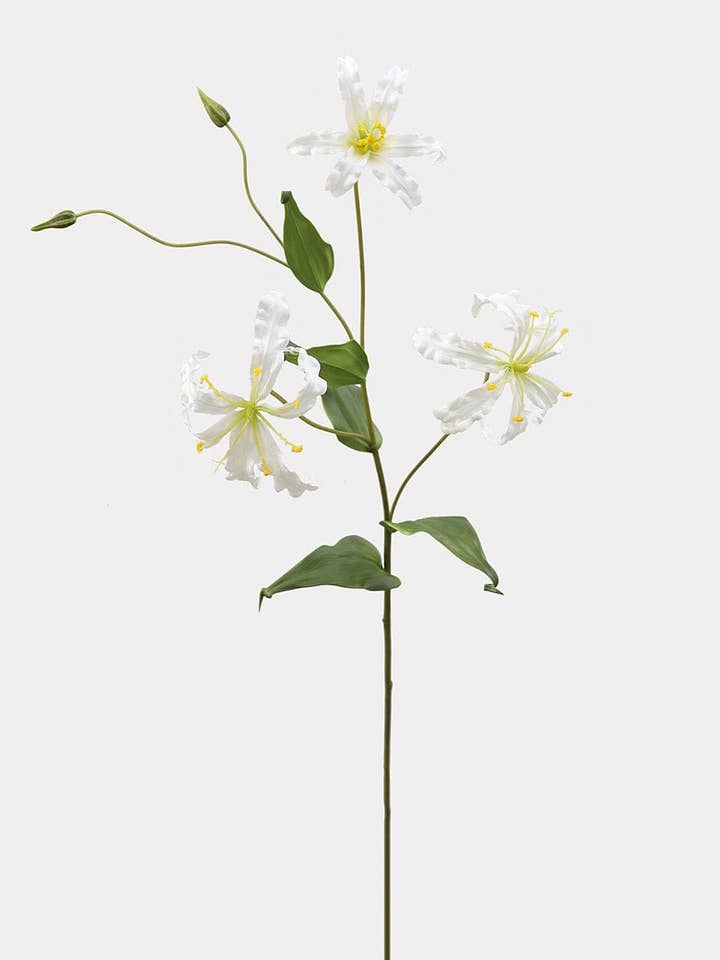 Witte Gloriosa Lelie 104 cm voor wholesale door Prestige Botanicals