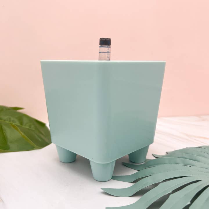 Propagation Diaries - Wholesale Plant Pot - 4" Self Watering Moo Pot4