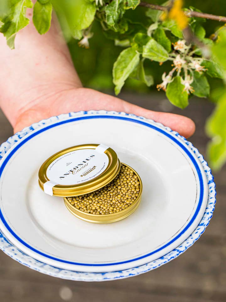 Antonius Caviar: 5-star Oscietra 50g for wholesale by Antonius Caviar