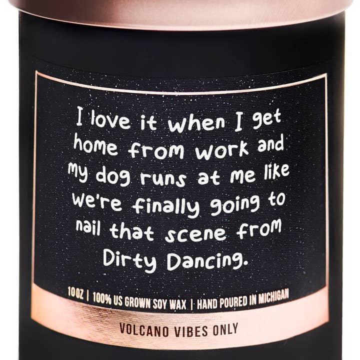ellembee gift - Wholesale Jar/Filled Candle - My dogs runs at me like dirty dancing sassy soy candles0