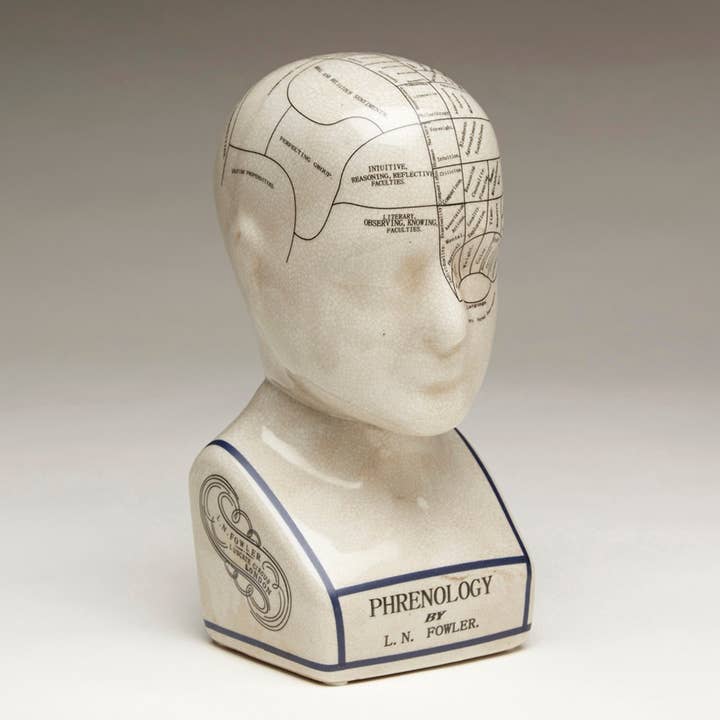AA Importing - Wholesale Decorative Tabletop Object - Ceramic Phrenology Head, 10"