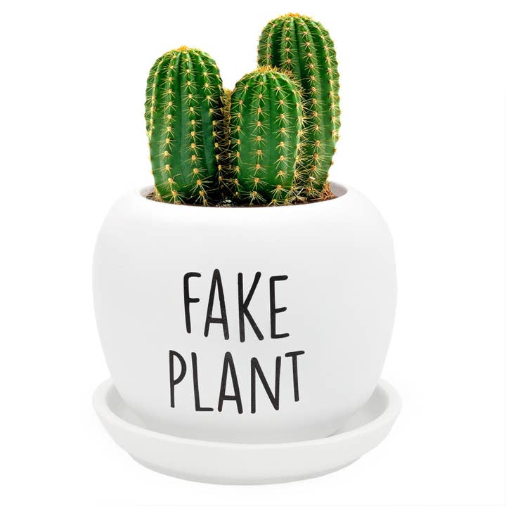 Esterno Fake Plant Planter Pot and other Purchase Wholesale fake succulent plants. Free Returns & Net 60 Terms on Faire trending on Faire.