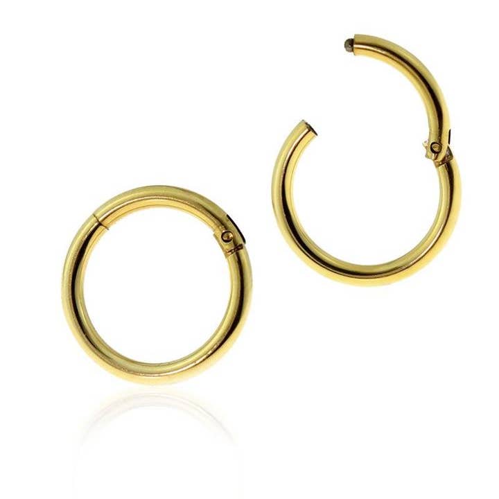 CRAVE - Wholesale Hoop Earrings - HIGH QUALITY 316L SURGICAL STEEL HINGED SEGMENT RING3