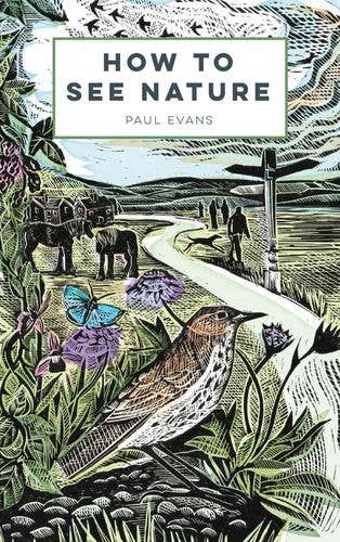 Boon Books – Engroshandel Bog om natur og friluftsliv – Sådan ser du naturen af Paul Evans0