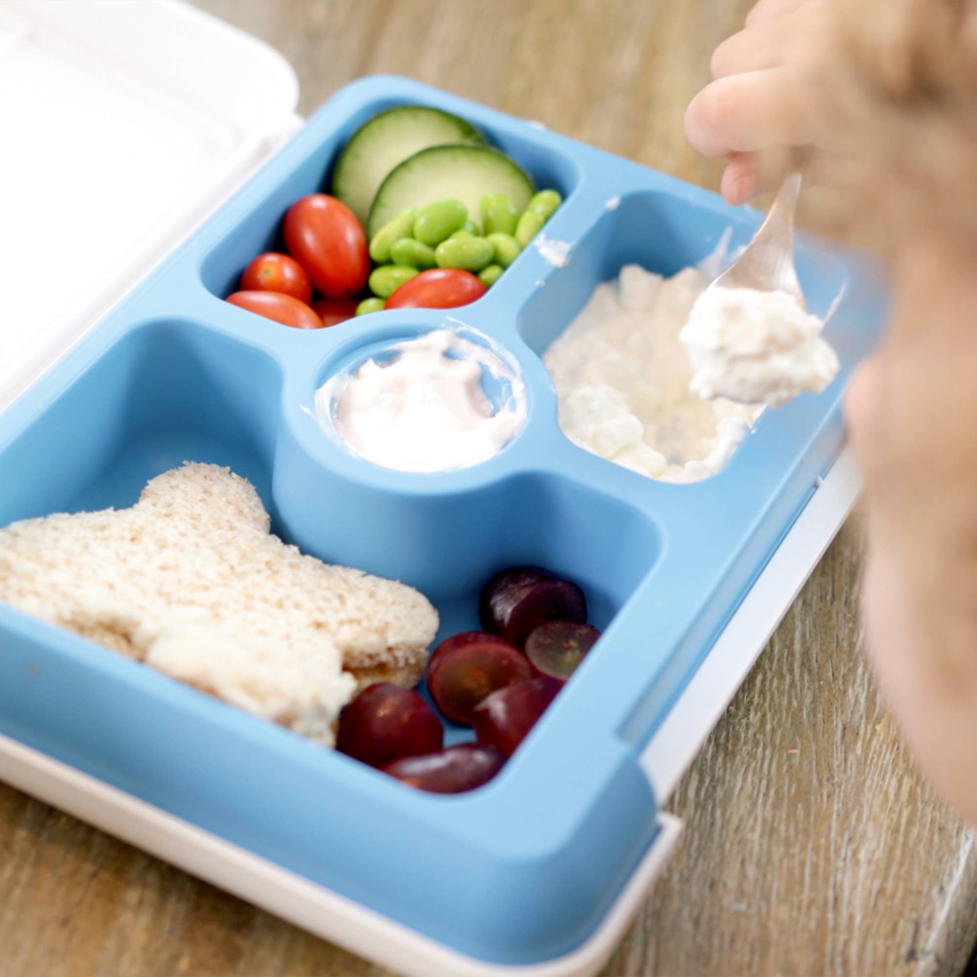 Innobaby on Faire - Wholesale Lunch Bag/Box - Kids - FlexBox Bento Style Kids Divided Lunch Box Platinum Silicone14