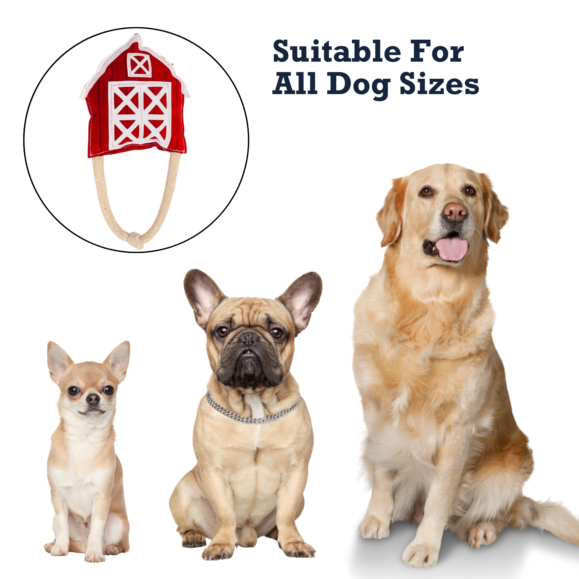 Jojo Modern Pets - Venta al por mayor Juguete para morder - Perros - Juguete masticable ecológico para perros en forma de granero rojo de cuero sintético6