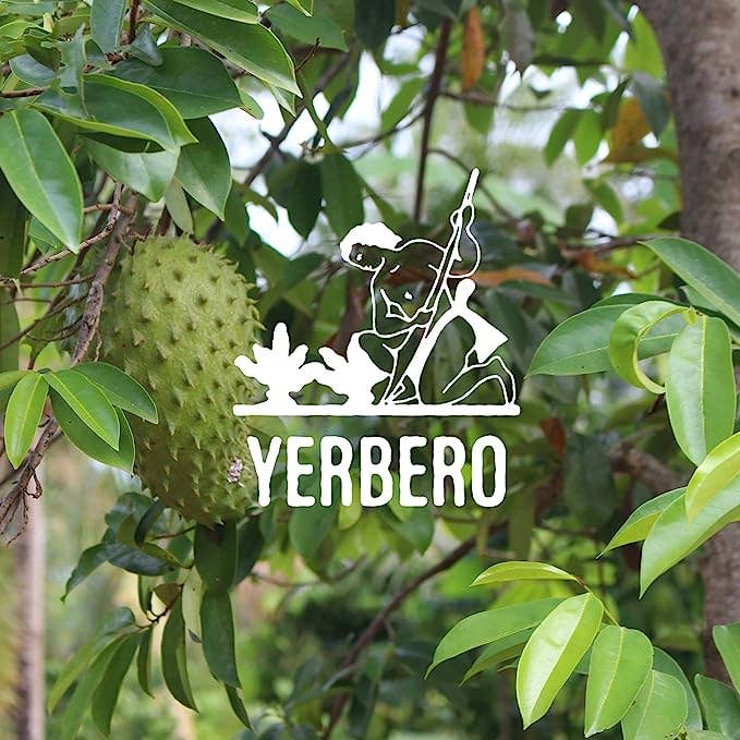 YERBERO - Wholesale Tea Bags - Yerbero - Pure Graviola Soursop Leaf Tea 30 Tea Bags 1gr (0.03oz) - Net WT 30gr (1.3oz) | Hoja Guanabana
