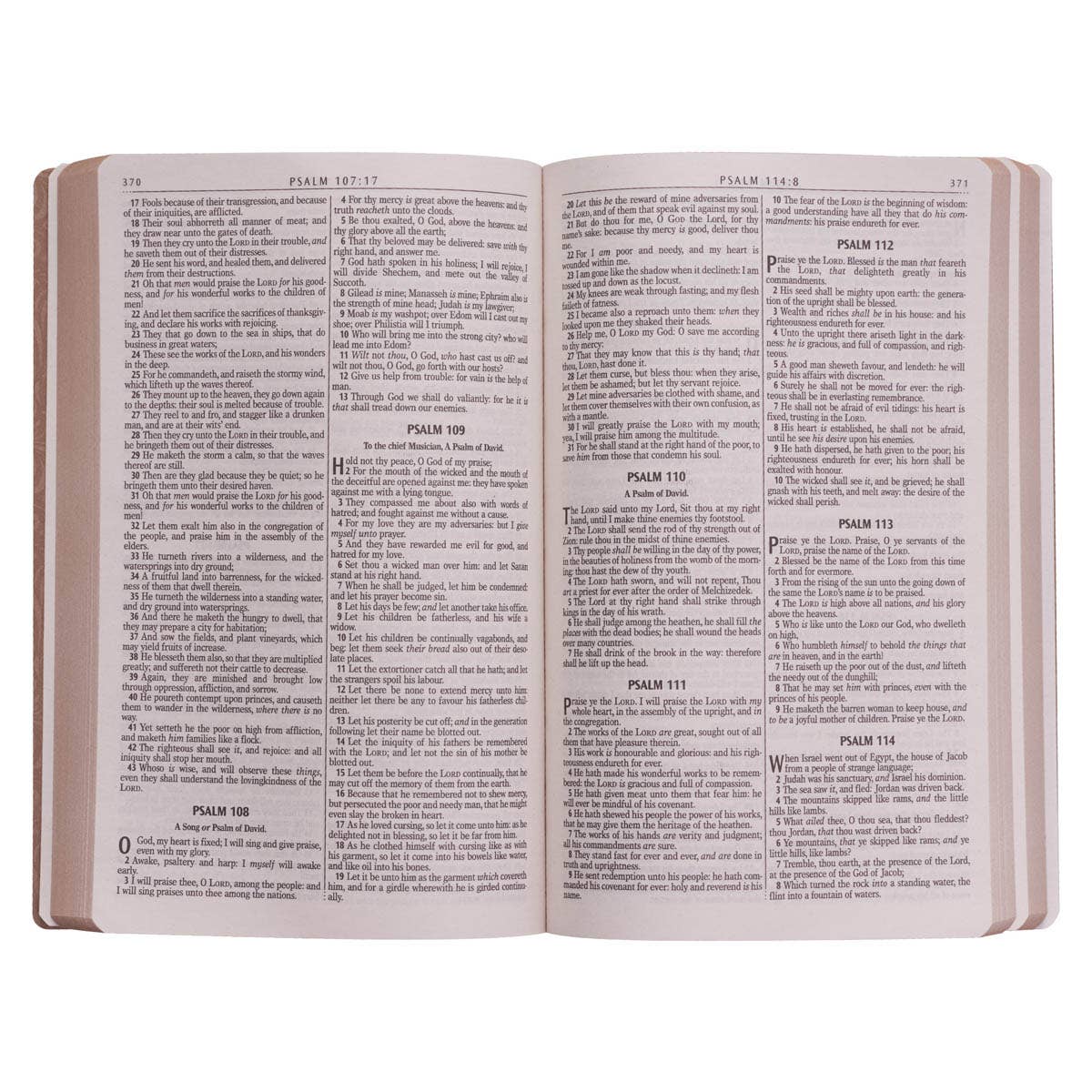 Christian Art Gifts - Wholesale Religion - KJV Bible Gift & Award Faux Leather, Tan4