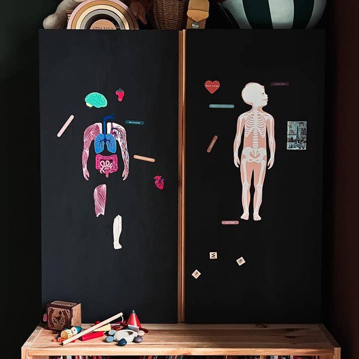 Ma Cabane à Rêves - Vendita all'ingrosso Set di giocattoli - Bambini - Gioco didattico magnetico The Human Body0