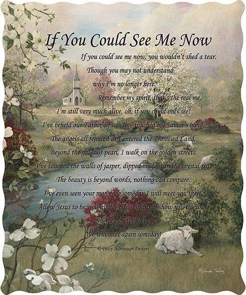 Duke Imports - Vendita all'ingrosso Plaid - "Se Potessi Vedermi Ora" Coperta Trapuntata Ispiratrice 50x60"4